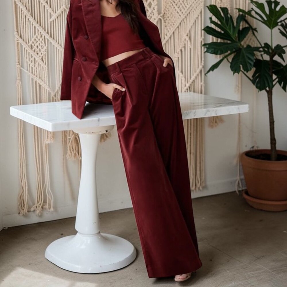 Banana Republic Veluro Relaxed High Waist Ultra Wide Velvet Pants Size 2 Short